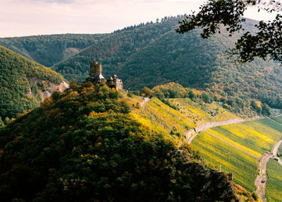 Autunm mosel germany