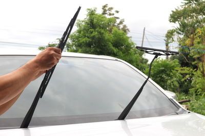 Person hand holding glass of car against trees