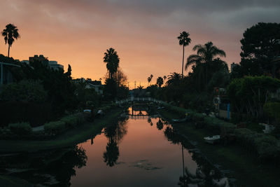 Scenic view of palm trees against sky during sunset