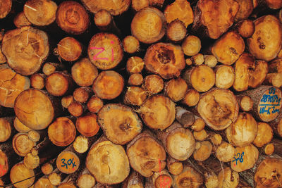 Full frame shot of logs in forest