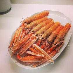 Close-up of food