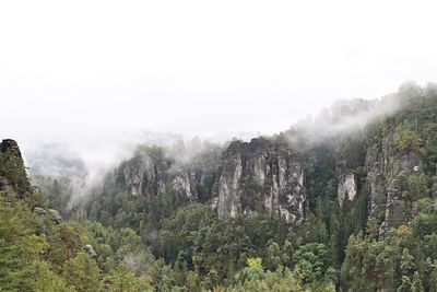 Hiking on a foggy day