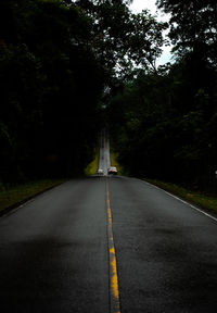 Empty road along trees and plants in city