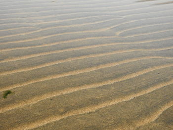 Full frame shot of sand dune
