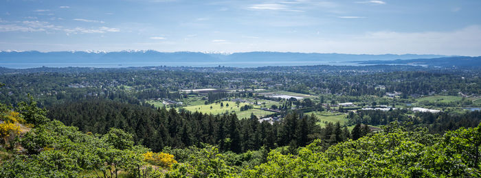 View on green valley with mountain in backdrop, shot on vancouver island, british columbia, canada