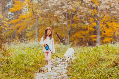 View of dog on landscape during autumn