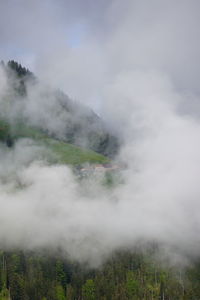 smoke