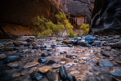 Surface level of stones in river