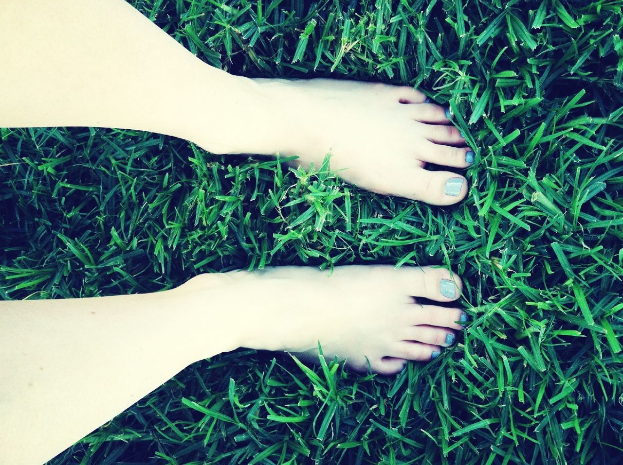 grass, high angle view, grassy, field, green color, one person, one animal, relaxation, part of, white color, lying down, low section, pets, animal themes, day, nature, plant, growth, resting