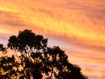 Low angle view of silhouette trees against dramatic sky