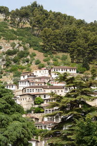 High angle view of townscape by trees