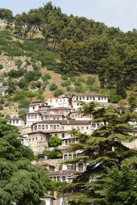 Traditional houses in berat. albania