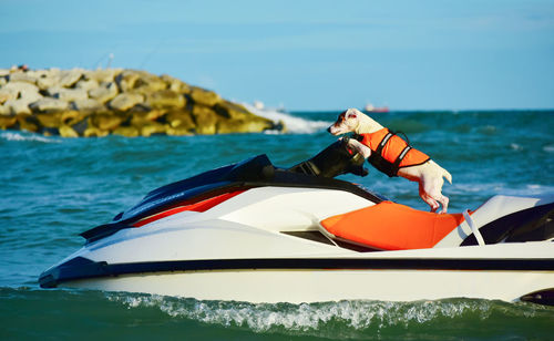 Man kayaking in sea