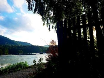 nature
