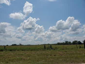 Scenic view of agricultural field against sky