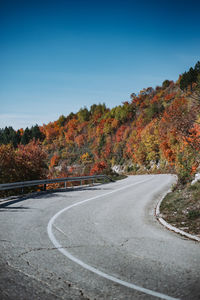 Road amidst trees against clear sky during autumn