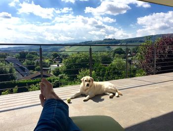 Low section of owner with labrador retriever at balcony against sky