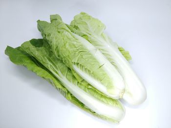 High angle view of vegetables in plate against white background