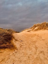 Sand dune on beach against sky