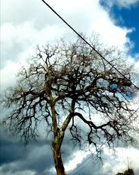 Low angle view of bare tree against sky