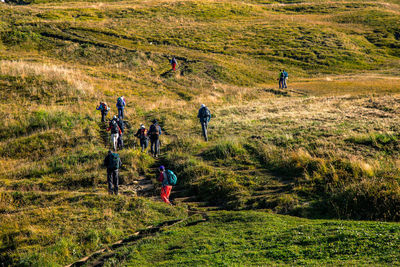 People walking on land