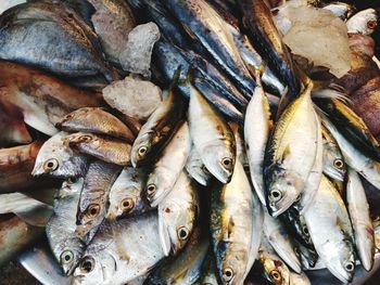 Close-up of fish for sale in market