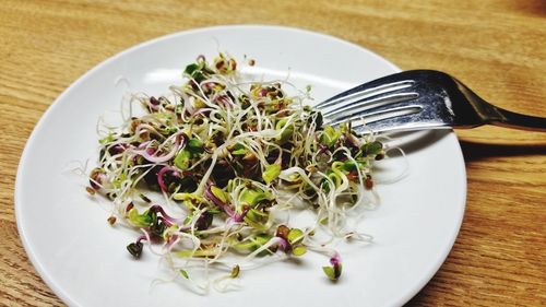 High angle view of chopped vegetables in plate