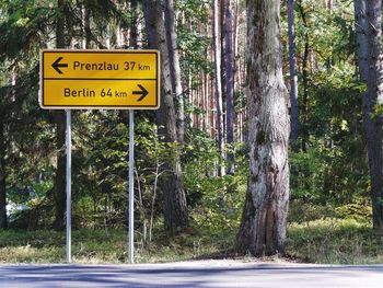 Information sign on tree trunk in forest