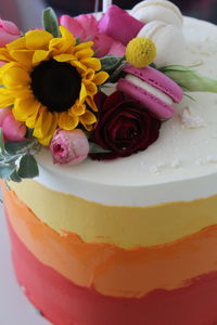 Close-up of multi colored cake