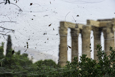 View of an animal on snow covered land
