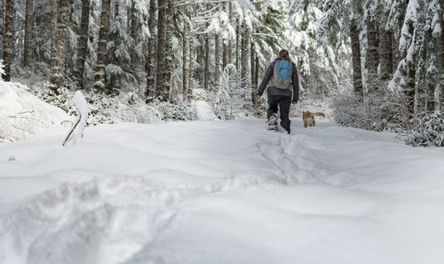 Woman with dog walking on snow covered pathway amidst trees