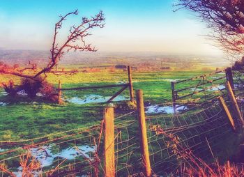 Scenic view of landscape against sky