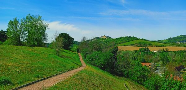 Scenic view of agricultural field against sky