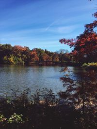 Scenic view of lake in forest against sky