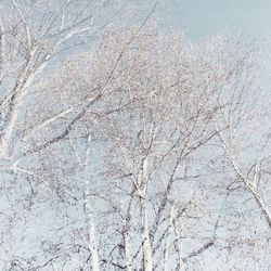 Full frame shot of abstract background