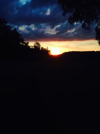 Silhouette trees against sky at sunset