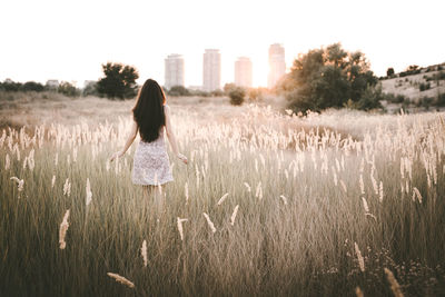 Rear view of woman standing on field at sunset