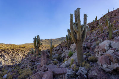 Rock formations on landscape against clear blue sky