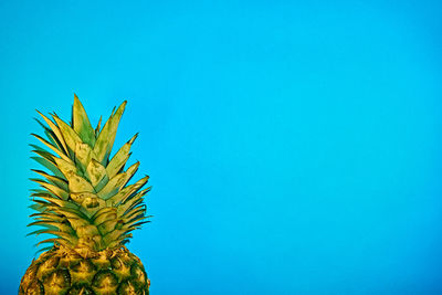 Low angle view of palm tree against blue sky