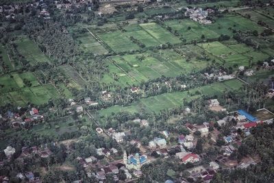 High angle view of trees and buildings