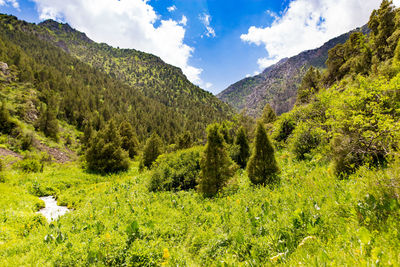 Scenic view of landscape against sky