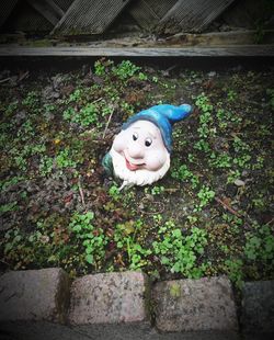 Close-up of stuffed toy on wall