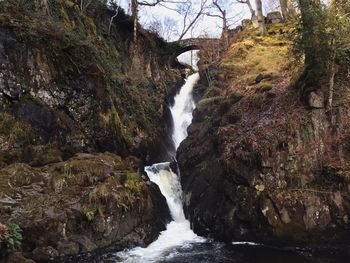 Scenic view of waterfall in forest
