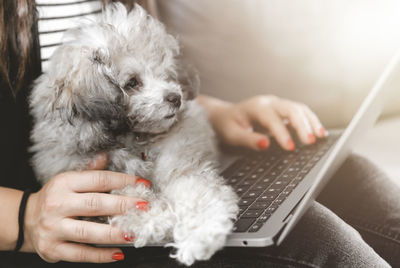 Midsection of woman with dog