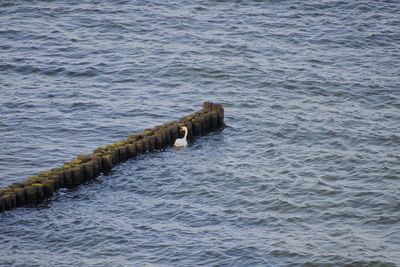 High angle view of groyne in sea