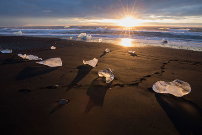 View of seagulls on beach