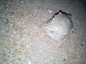 High angle view of heart shape on sand