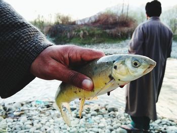 Close-up of hand holding fish in river