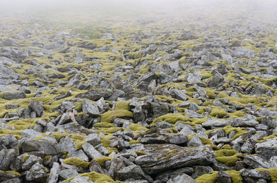 Aerial view of rocks