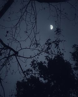 Low angle view of silhouette tree against sky at night